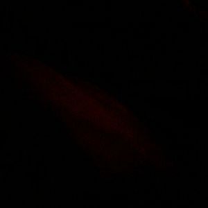 Meet your Posher, Makenna